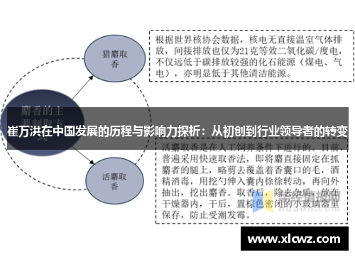 崔万洪在中国发展的历程与影响力探析：从初创到行业领导者的转变