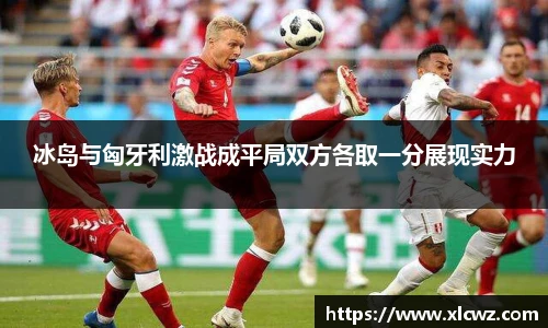 冰岛与匈牙利激战成平局双方各取一分展现实力