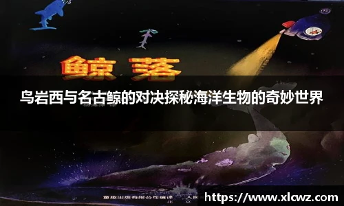 BD半岛手机下载