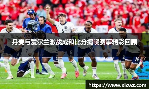 丹麦与爱尔兰激战成和比分揭晓赛事精彩回顾